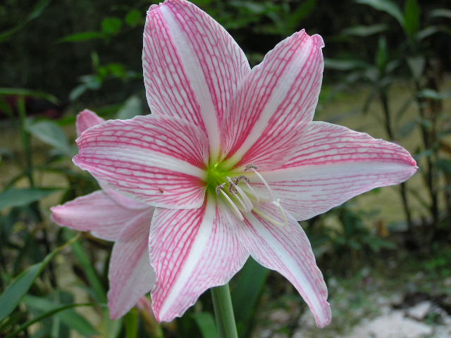 按此在新視窗瀏覽圖片