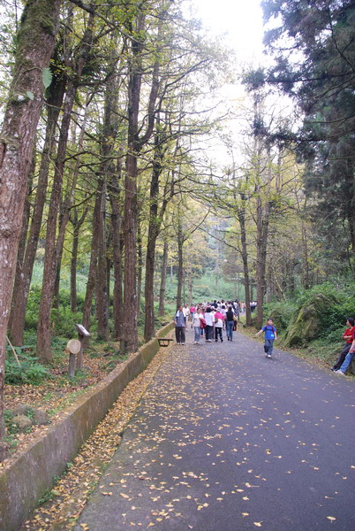 按此在新視窗瀏覽圖片