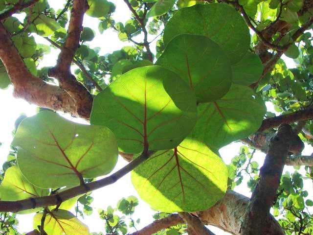 按此在新視窗瀏覽圖片