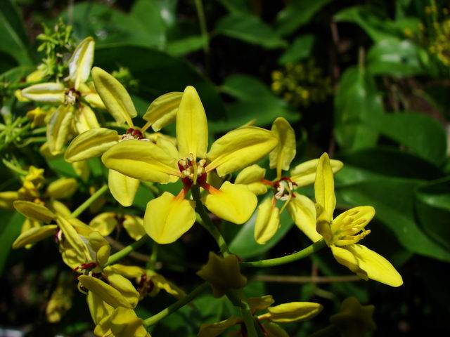 按此在新視窗瀏覽圖片