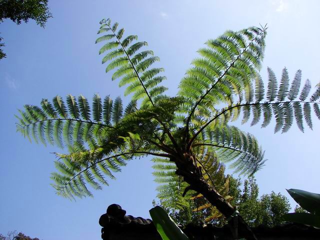 按此在新視窗瀏覽圖片