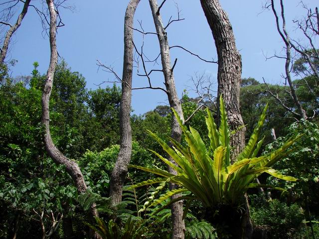 按此在新視窗瀏覽圖片