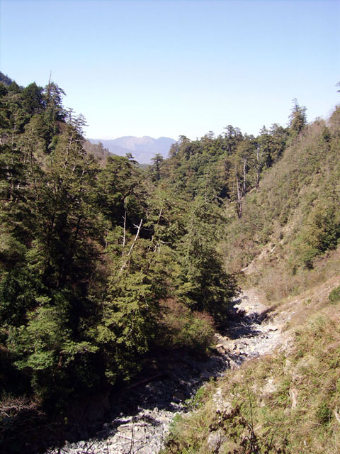 按此在新視窗瀏覽圖片