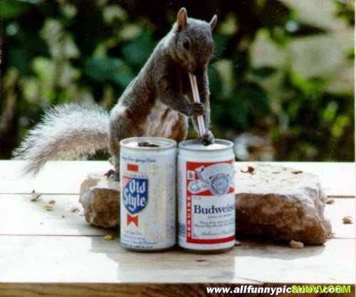 «ö¦¹¦b·sµøµ¡ÂsÄý¹Ï¤ù