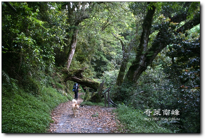 按此在新視窗瀏覽圖片