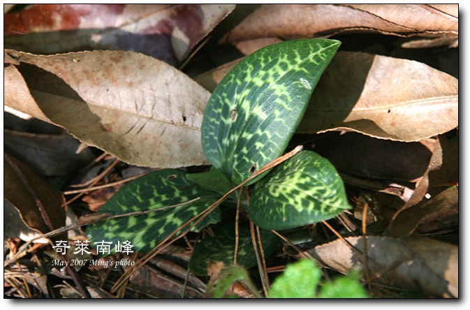 按此在新視窗瀏覽圖片