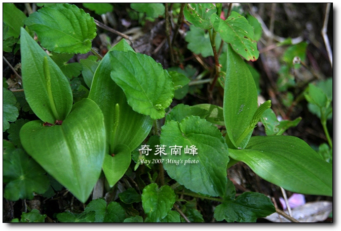 按此在新視窗瀏覽圖片