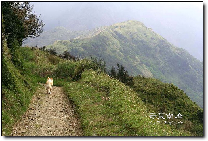 按此在新視窗瀏覽圖片