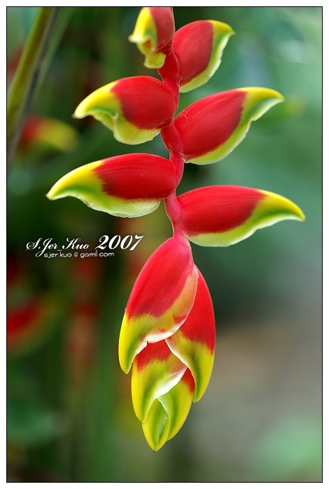 按此在新視窗瀏覽圖片