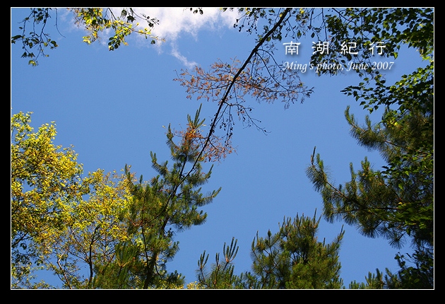 按此在新視窗瀏覽圖片