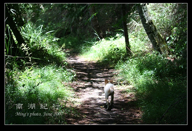 按此在新視窗瀏覽圖片