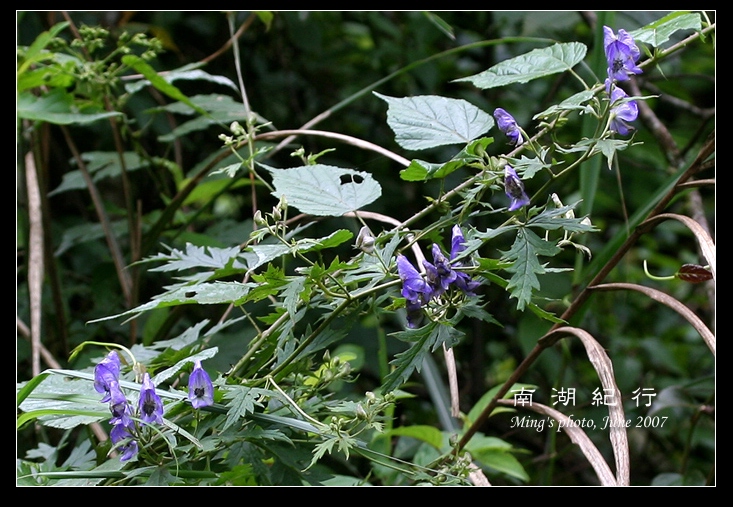按此在新視窗瀏覽圖片