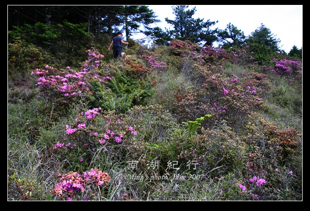按此在新視窗瀏覽圖片