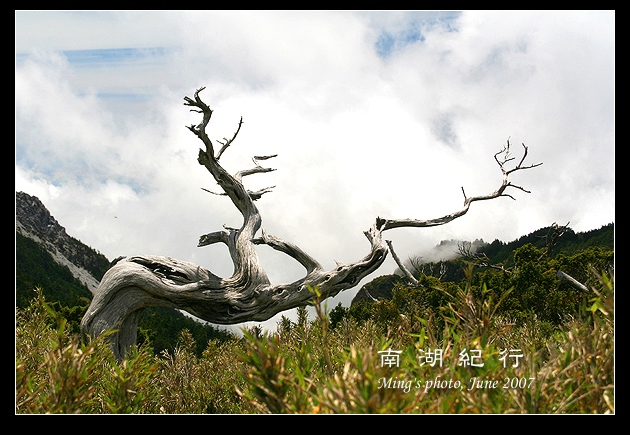 按此在新視窗瀏覽圖片