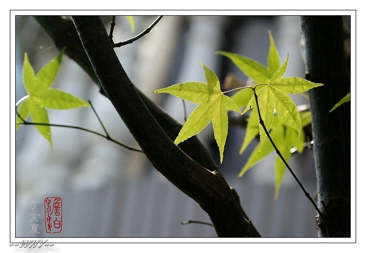 按此在新視窗瀏覽圖片