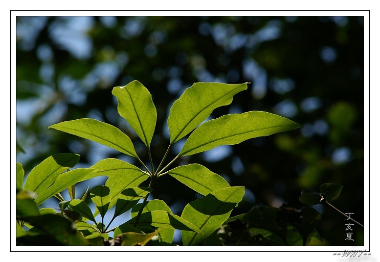 按此在新視窗瀏覽圖片