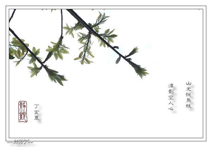 按此在新視窗瀏覽圖片