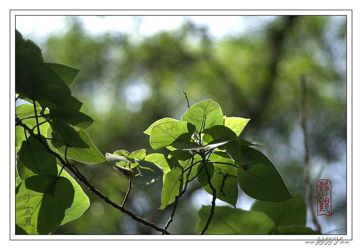 按此在新視窗瀏覽圖片