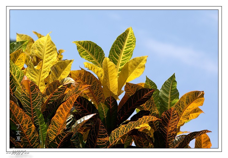 按此在新視窗瀏覽圖片