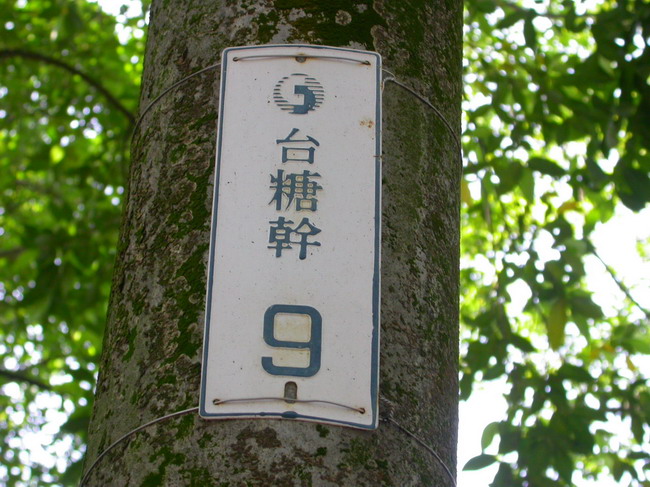 按此在新視窗瀏覽圖片