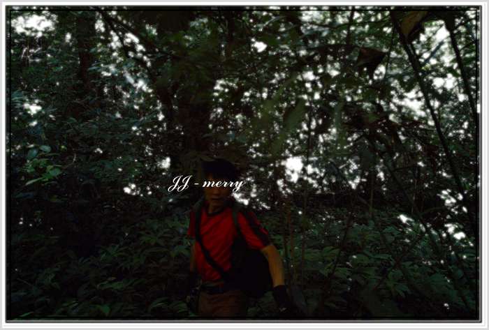 按此在新視窗瀏覽圖片