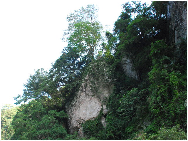 按此在新視窗瀏覽圖片