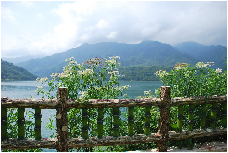 按此在新視窗瀏覽圖片