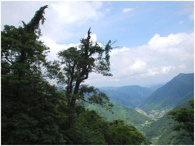 按此在新視窗瀏覽圖片