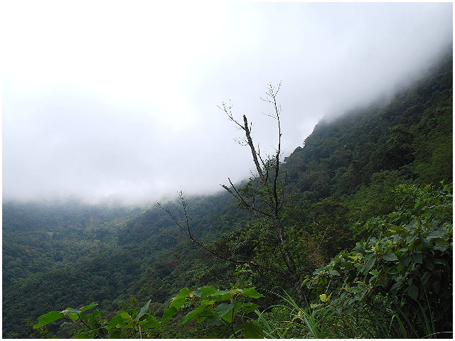 按此在新視窗瀏覽圖片