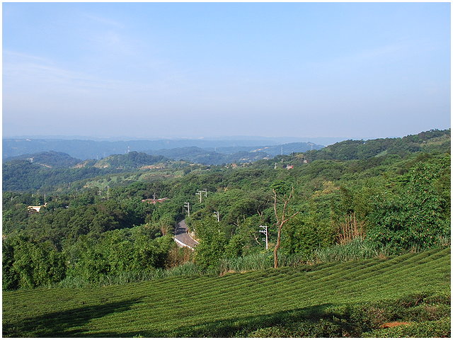 按此在新視窗瀏覽圖片