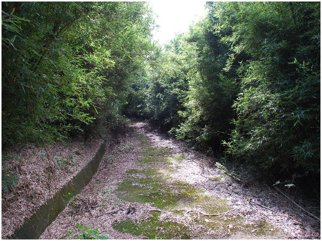 按此在新視窗瀏覽圖片