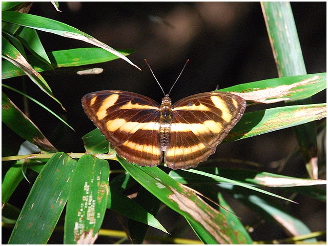 按此在新視窗瀏覽圖片