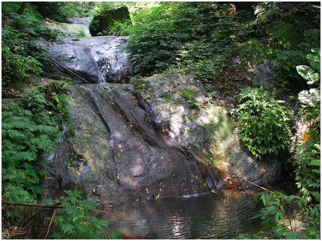 按此在新視窗瀏覽圖片