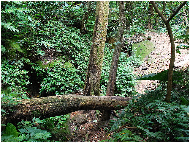 按此在新視窗瀏覽圖片