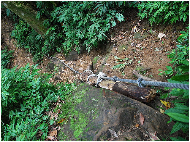 按此在新視窗瀏覽圖片