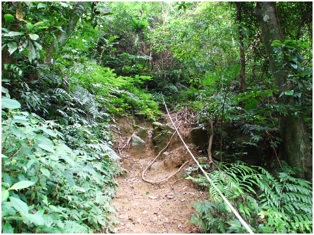 按此在新視窗瀏覽圖片