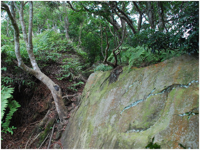 按此在新視窗瀏覽圖片