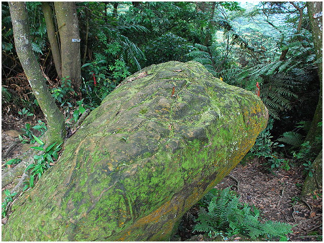 按此在新視窗瀏覽圖片