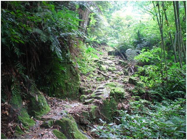 按此在新視窗瀏覽圖片