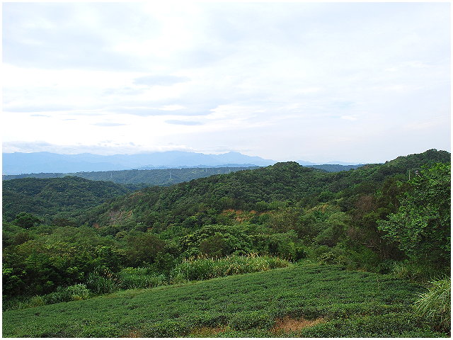 按此在新視窗瀏覽圖片