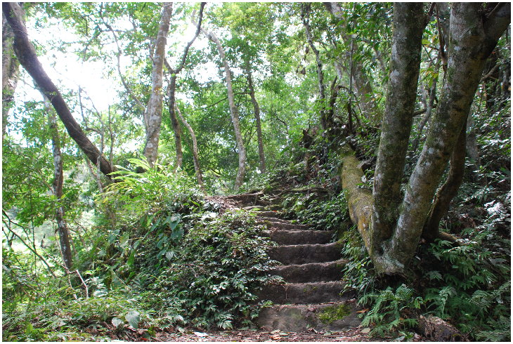 按此在新視窗瀏覽圖片