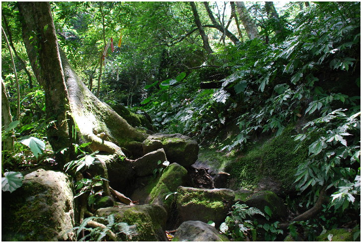 按此在新視窗瀏覽圖片