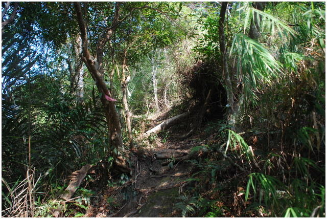 按此在新視窗瀏覽圖片