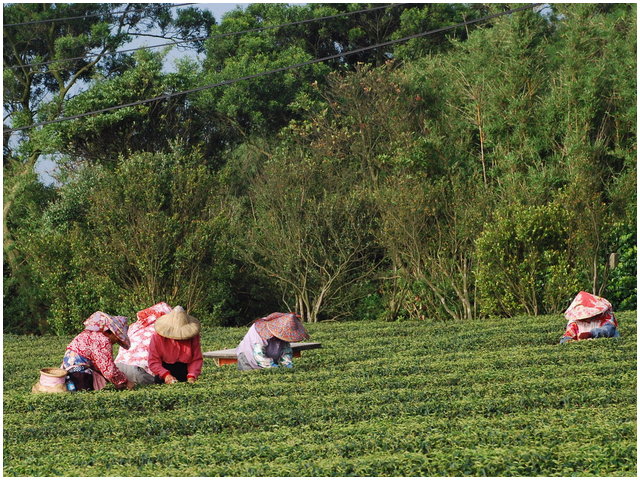按此在新視窗瀏覽圖片