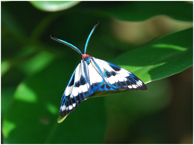 按此在新視窗瀏覽圖片
