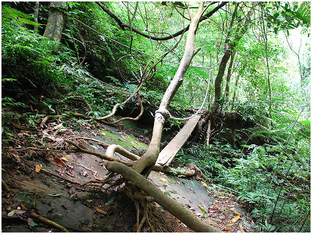 按此在新視窗瀏覽圖片