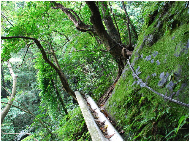 按此在新視窗瀏覽圖片