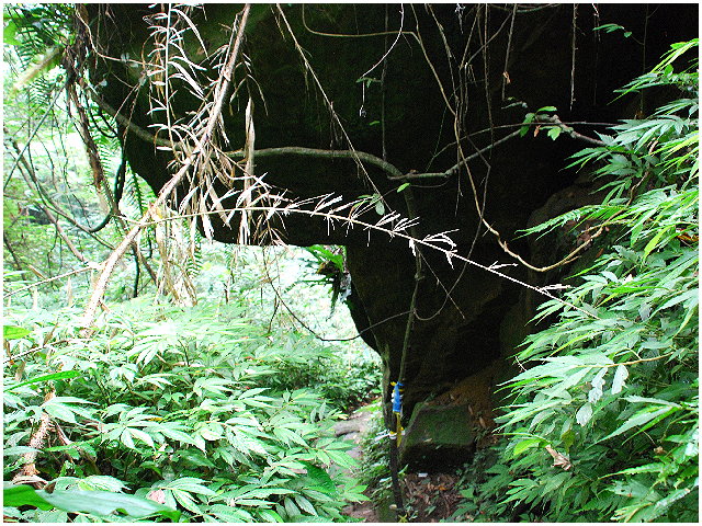 按此在新視窗瀏覽圖片