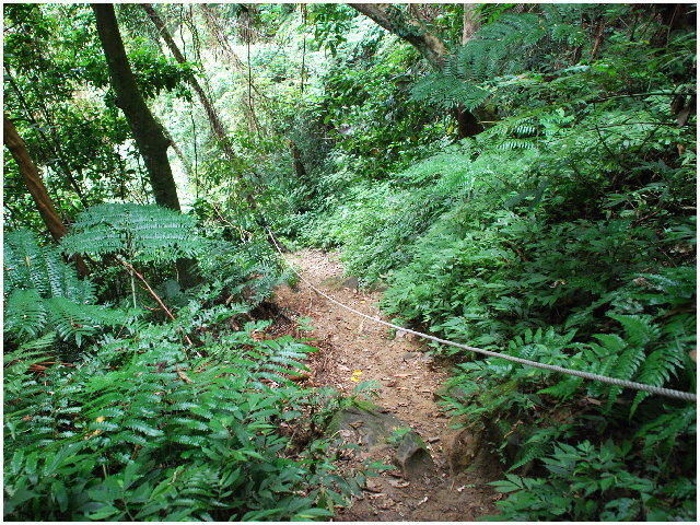 按此在新視窗瀏覽圖片