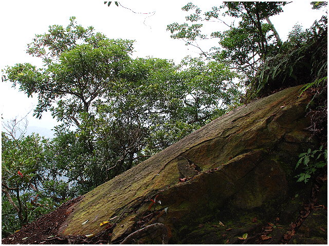 按此在新視窗瀏覽圖片